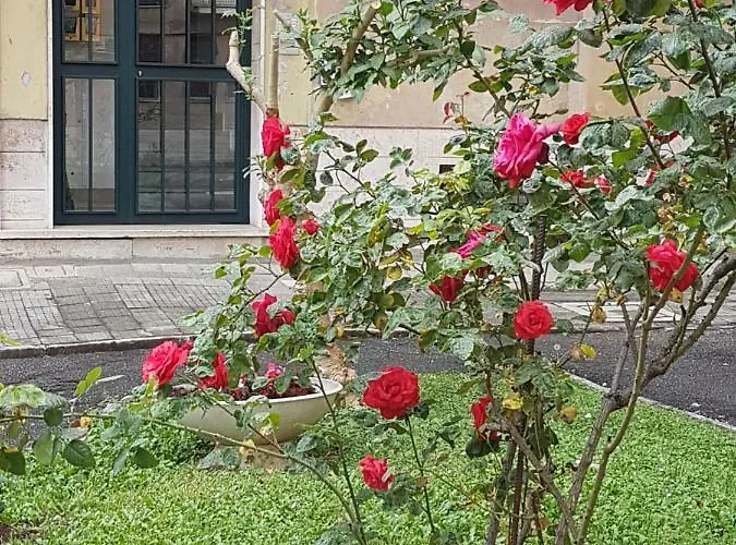 Le Tre Sorelle Garbatella Oda ve Kahvaltı Roma